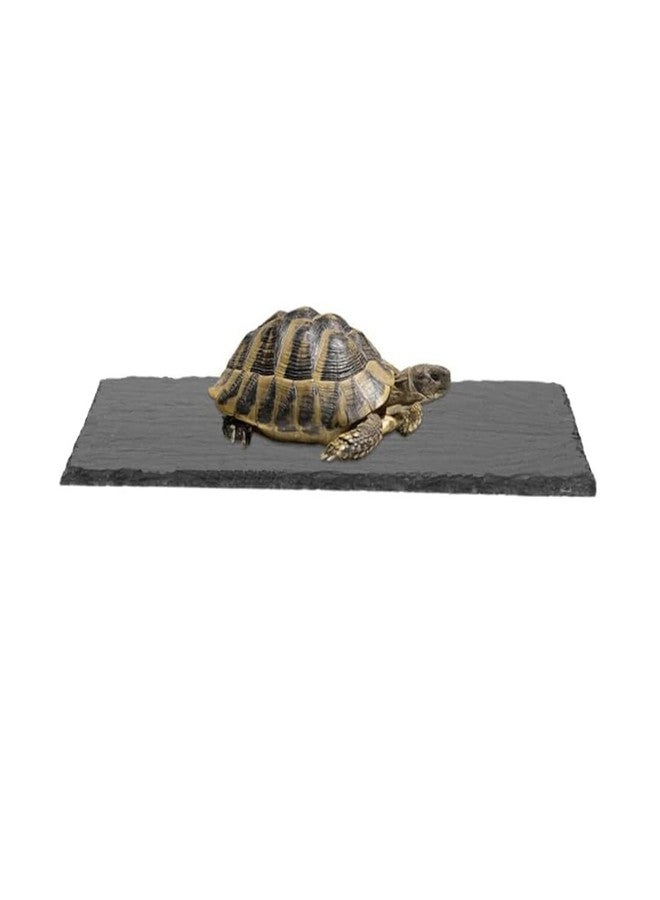 HALONTIN Turtle Basking Platform Rocks Slate Rock for Reptiles Tortoise Food Dish Landscape Habitat Decor Accessories, Basking Rock for Crested Gecko Lizard Bearded Dragon Turtle, Gray - Image 3